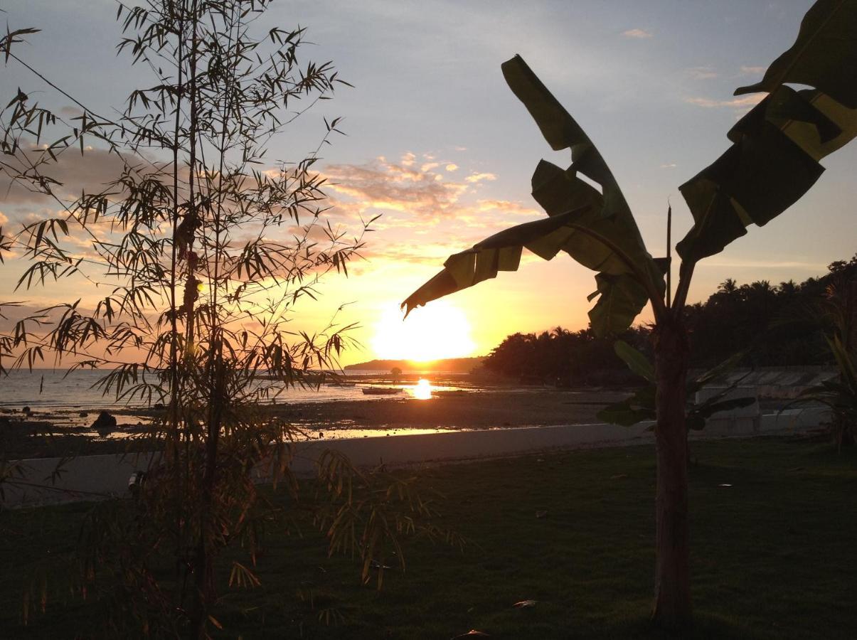 Bamboobeachvilla1 Ac New Oceanfront Pool Sunsetview Garden Kitchen Satellite Starlink Wi-Fi Dimiao المظهر الخارجي الصورة